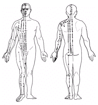 meridians meridians
