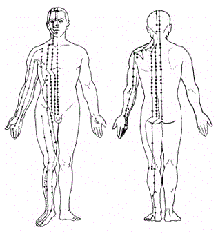 meridians